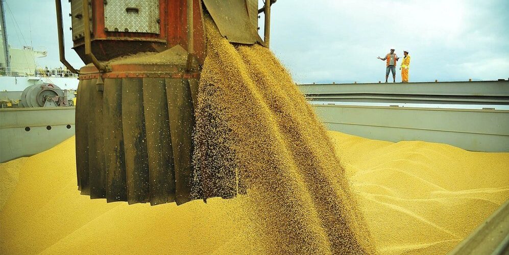 Soja porto globorural 997x500